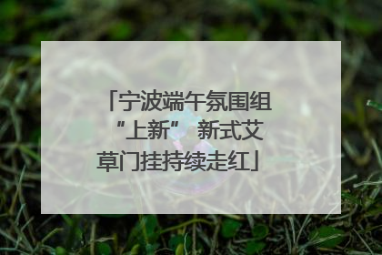 宁波端午氛围组“上新” 新式艾草门挂持续走红
