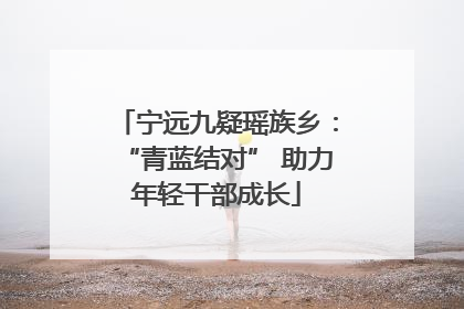 宁远九疑瑶族乡：“青蓝结对” 助力年轻干部成长