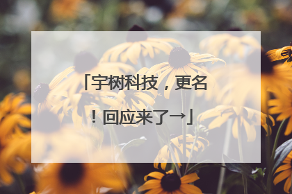 宇树科技，更名！回应来了→
