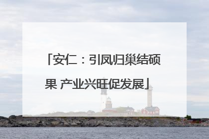 安仁：引凤归巢结硕果 产业兴旺促发展