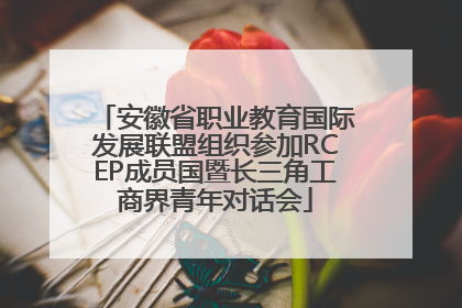 安徽省职业教育国际发展联盟组织参加RCEP成员国暨长三角工商界青年对话会