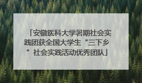 安徽医科大学暑期社会实践团获全国大学生“三下乡”社会实践活动优秀团队