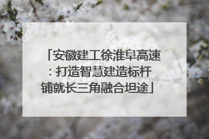 安徽建工徐淮阜高速：打造智慧建造标杆 铺就长三角融合坦途