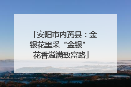 安阳市内黄县：金银花里采“金银” 花香溢满致富路