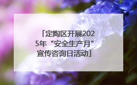 定陶区开展2025年“安全生产月”宣传咨询日活动
