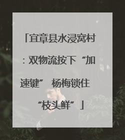宜章县水浸窝村：双物流按下“加速键” 杨梅锁住“枝头鲜”