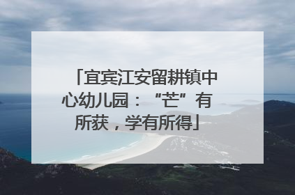 宜宾江安留耕镇中心幼儿园：“芒”有所获，学有所得