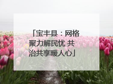 宝丰县：网格聚力解民忧 共治共享暖人心