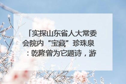 实探山东省人大常委会院内“宝藏”珍珠泉：乾隆曾为它题诗，游客无需预约免费游览