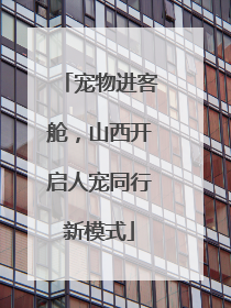 宠物进客舱，山西开启人宠同行新模式