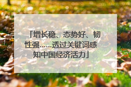 增长稳、态势好、韧性强……透过关键词感知中国经济活力