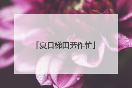夏日梯田劳作忙