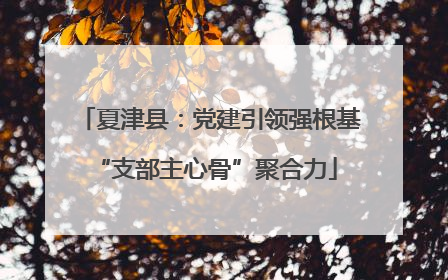 夏津县：党建引领强根基 “支部主心骨”聚合力