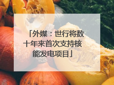 外媒：世行将数十年来首次支持核能发电项目