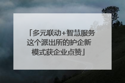 多元联动+智慧服务 这个派出所的护企新模式获企业点赞