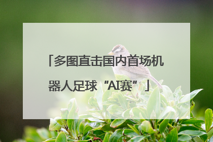 多图直击国内首场机器人足球“AI赛”