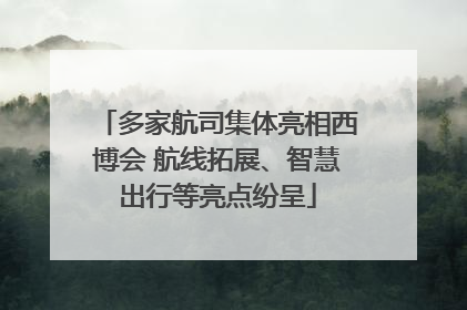 多家航司集体亮相西博会 航线拓展、智慧出行等亮点纷呈