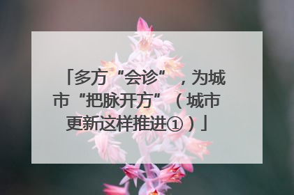 多方“会诊”，为城市“把脉开方”（城市更新这样推进①）