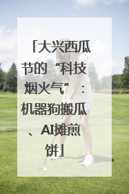大兴西瓜节的“科技烟火气”：机器狗搬瓜、AI摊煎饼