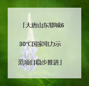 大唐山东郓城630℃国家电力示范项目稳步推进