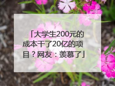 大学生200元的成本干了20亿的项目？网友：羡慕了