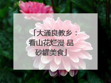 大通良教乡：看山花烂漫 品砂罐美食