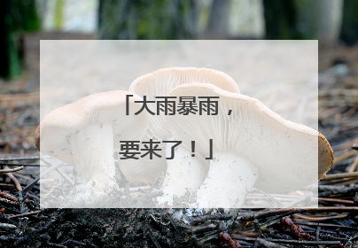 大雨暴雨，要来了！