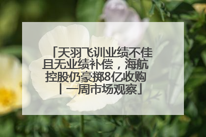 天羽飞训业绩不佳且无业绩补偿，海航控股仍豪掷8亿收购丨一周市场观察