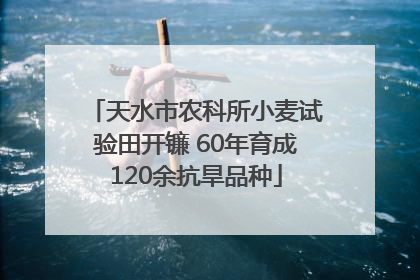 天水市农科所小麦试验田开镰 60年育成120余抗旱品种