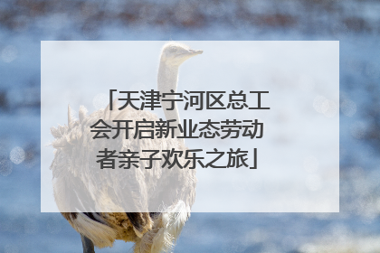 天津宁河区总工会开启新业态劳动者亲子欢乐之旅