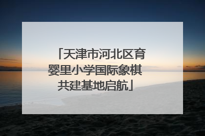 天津市河北区育婴里小学国际象棋共建基地启航