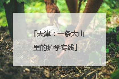 天津：一条大山里的护学专线