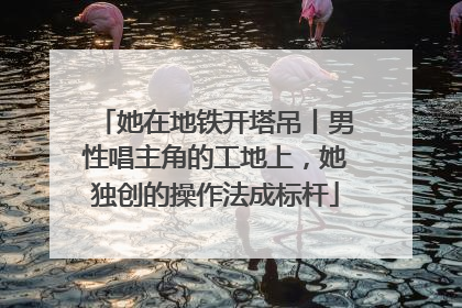 她在地铁开塔吊丨男性唱主角的工地上，她独创的操作法成标杆