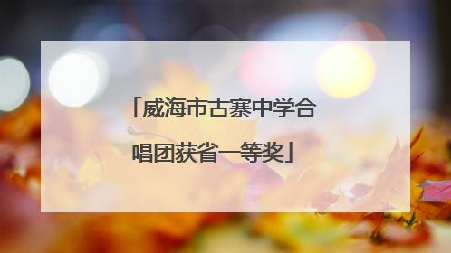 威海市古寨中学合唱团获省一等奖