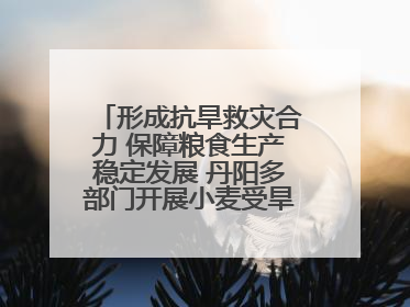 形成抗旱救灾合力 保障粮食生产稳定发展 丹阳多部门开展小麦受旱情况调研
