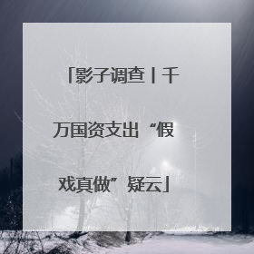 影子调查丨千万国资支出“假戏真做”疑云