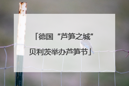 德国“芦笋之城”贝利茨举办芦笋节