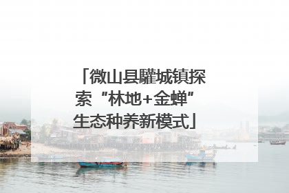 微山县驩城镇探索“林地+金蝉”生态种养新模式