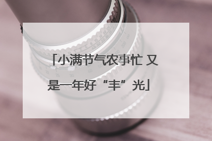 小满节气农事忙 又是一年好“丰”光