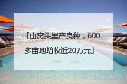 山窝头里产良种，600多亩地增收近20万元