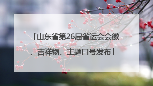 山东省第26届省运会会徽、吉祥物、主题口号发布