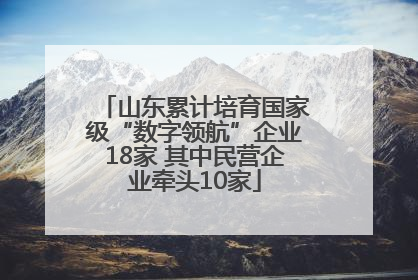 山东累计培育国家级“数字领航”企业18家 其中民营企业牵头10家