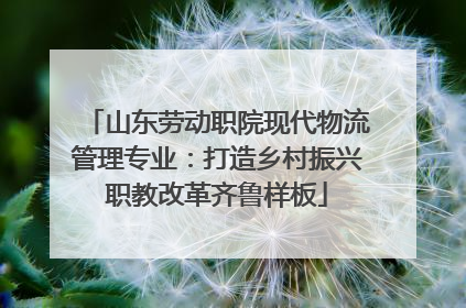 山东劳动职院现代物流管理专业：打造乡村振兴职教改革齐鲁样板