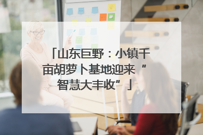 山东巨野：小镇千亩胡萝卜基地迎来“智慧大丰收”