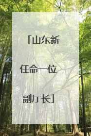 山东新任命一位副厅长