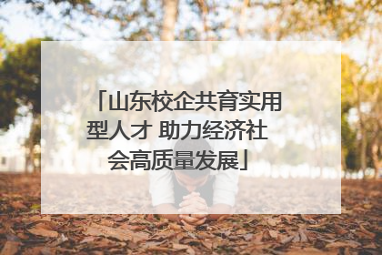 山东校企共育实用型人才 助力经济社会高质量发展