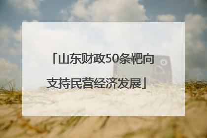 山东财政50条靶向支持民营经济发展