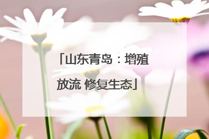 山东青岛：增殖放流 修复生态