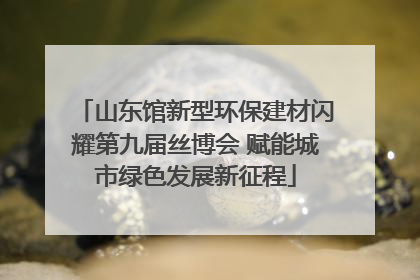 山东馆新型环保建材闪耀第九届丝博会 赋能城市绿色发展新征程