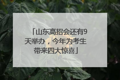山东高招会还有9天举办，今年为考生带来四大惊喜